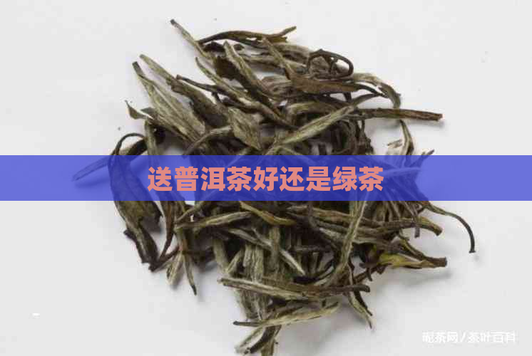 送普洱茶好还是绿茶