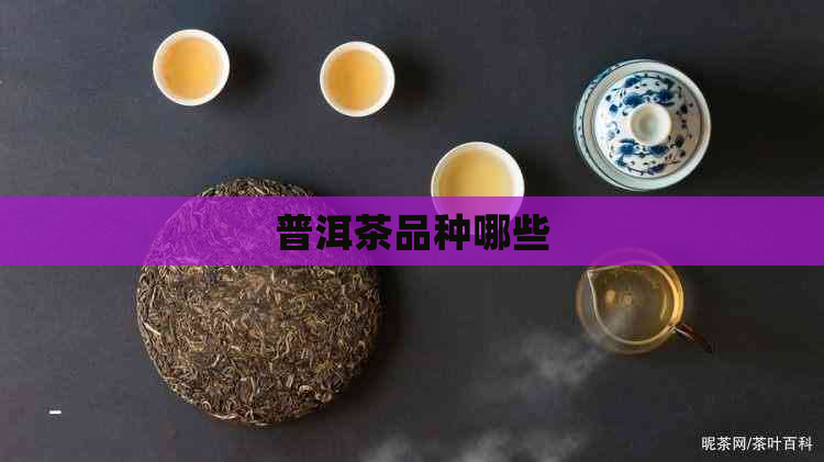 普洱茶品种哪些