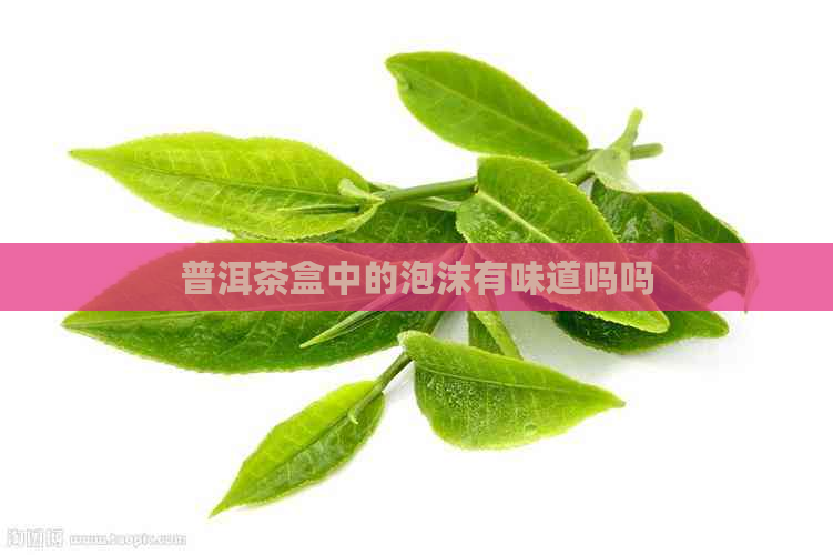 普洱茶盒中的泡沫有味道吗吗