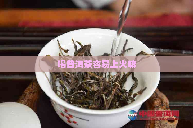 喝普洱茶容易上火嘛