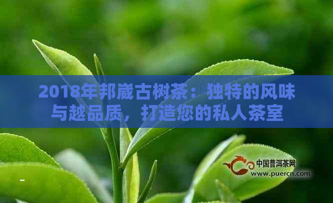 2018年邦崴古树茶：独特的风味与越品质，打造您的私人茶室