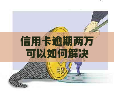 信用卡逾期两万可以如何解决