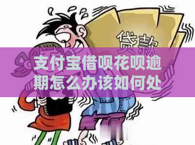 支付宝借呗花呗逾期怎么办该如何处理