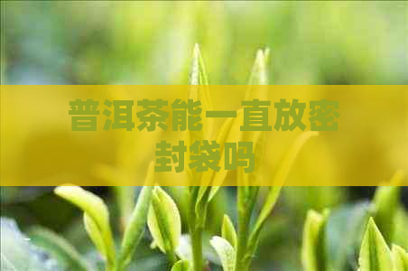 普洱茶能一直放密封袋吗