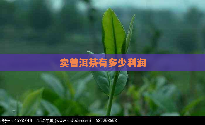 卖普洱茶有多少利润