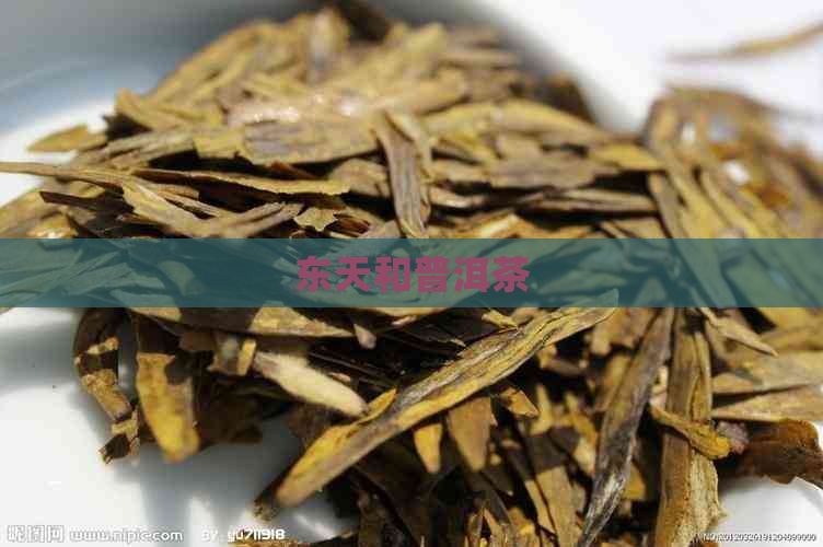 东天和普洱茶