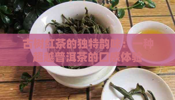 古树红茶的独特韵味：一种超越普洱茶的口感体验