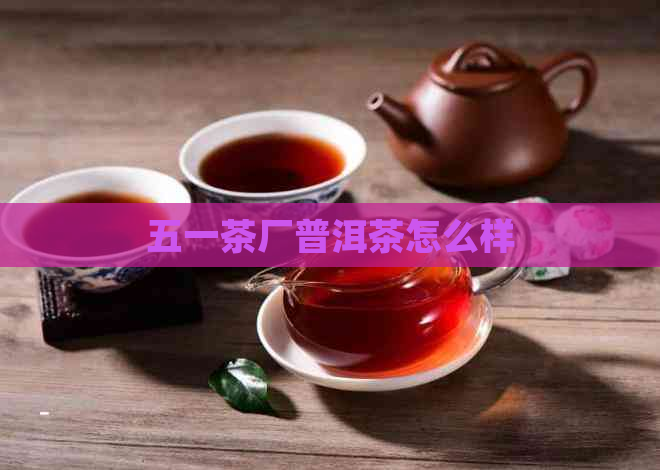 五一茶厂普洱茶怎么样