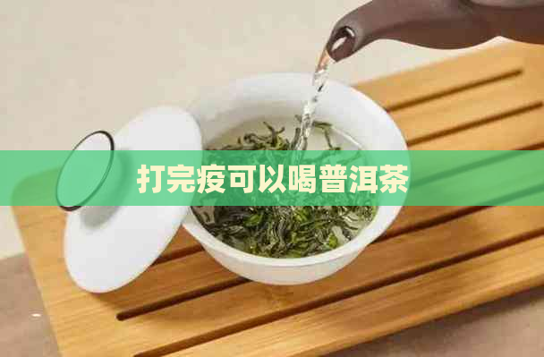 打完疫可以喝普洱茶