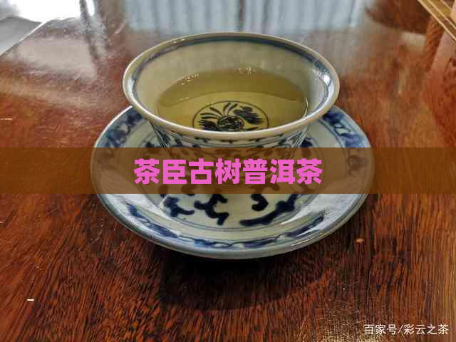 茶臣古树普洱茶