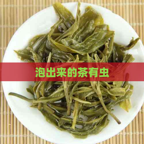 泡出来的茶有虫