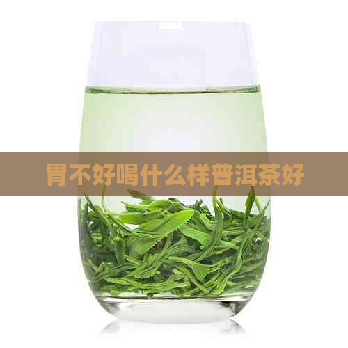 胃不好喝什么样普洱茶好