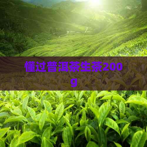 懂过普洱茶生茶200g