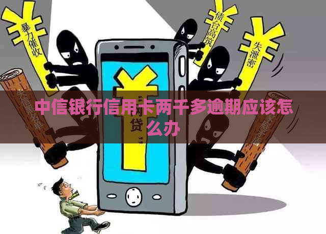 中信银行信用卡两千多逾期应该怎么办