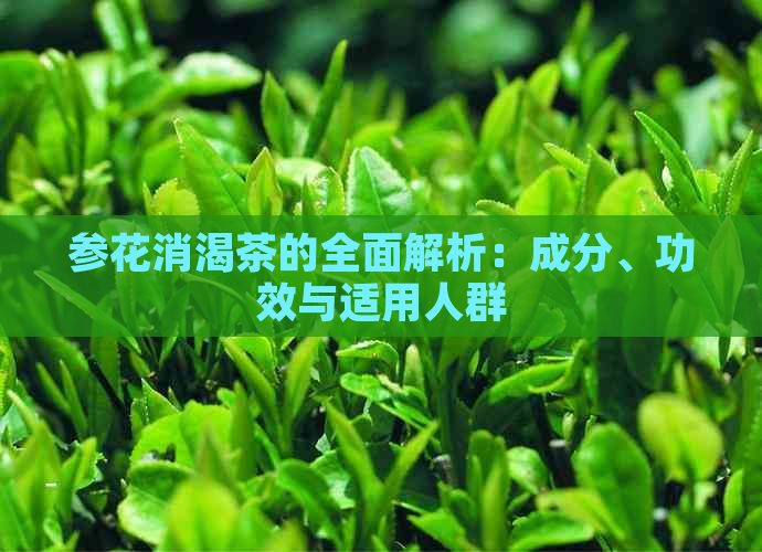 参花消渴茶的全面解析：成分、功效与适用人群