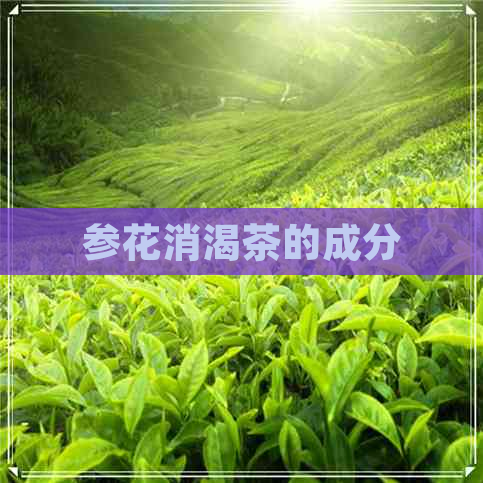 参花消渴茶的成分