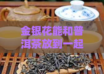 金银花能和普洱茶放到一起喝吗