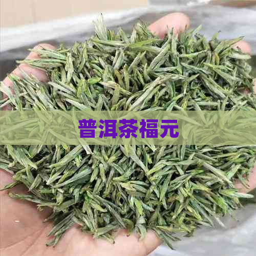 普洱茶福元