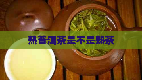 熟普洱茶是不是熟茶