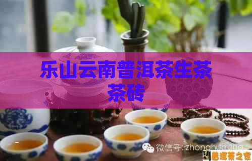 乐山云南普洱茶生茶茶砖