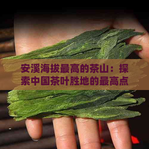 安溪海拔更高的茶山：探索中国茶叶胜地的更高点，感受云雾缭绕的仙境风光