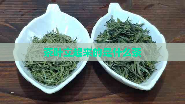 茶叶立起来的是什么茶