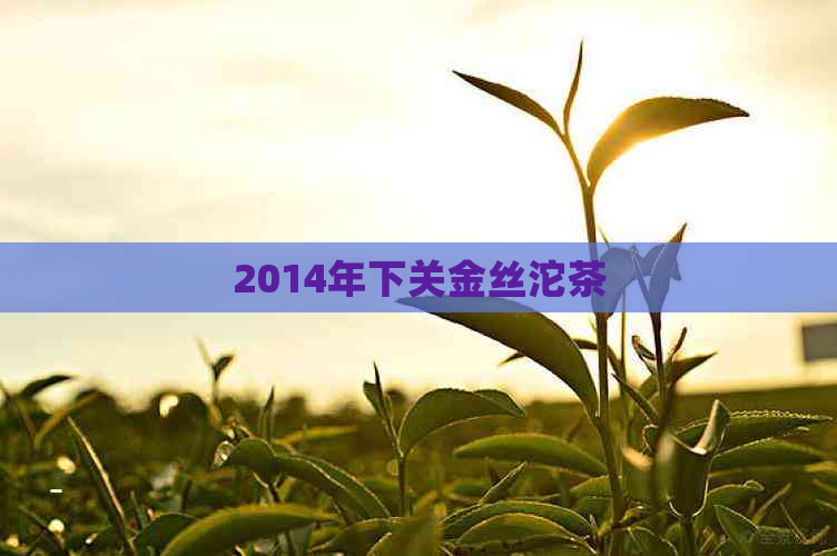 2014年下关金丝沱茶