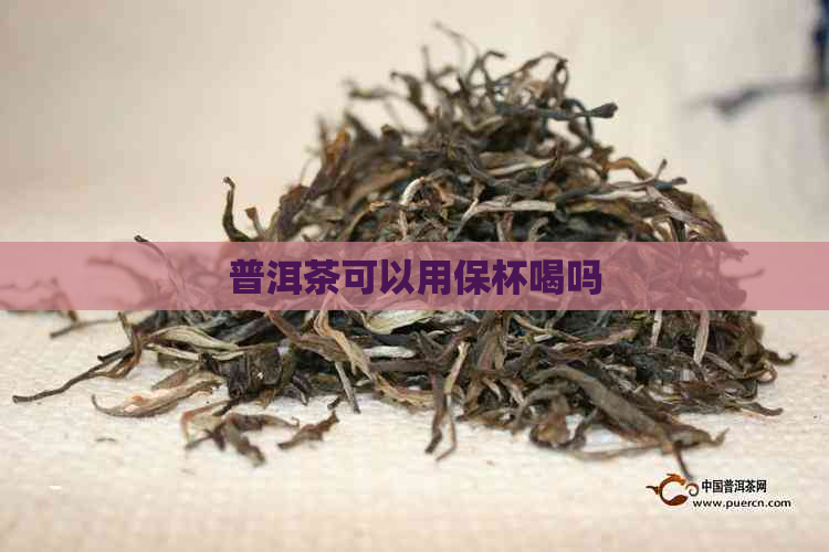 普洱茶可以用保杯喝吗