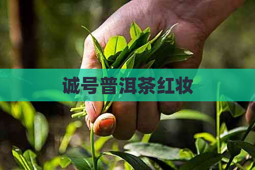 诚号普洱茶红妆