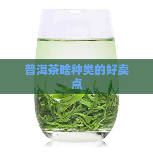 普洱茶啥种类的好卖点