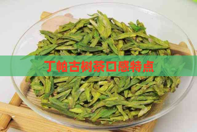 丁帕古树茶口感特点