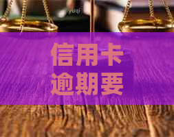 信用卡逾期要还本金怎么协商