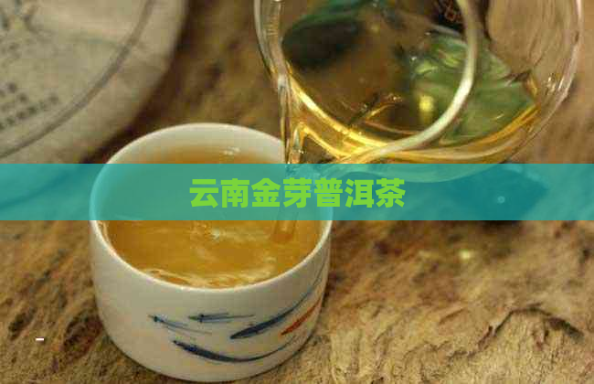 云南金芽普洱茶