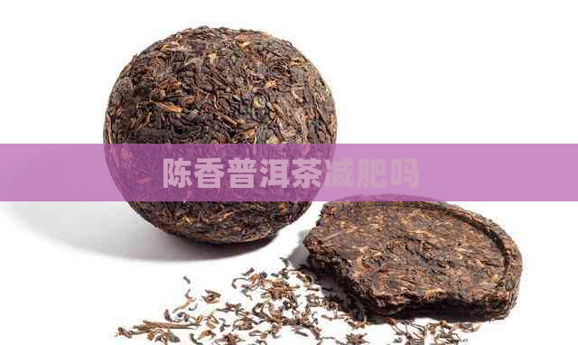 陈香普洱茶减肥吗