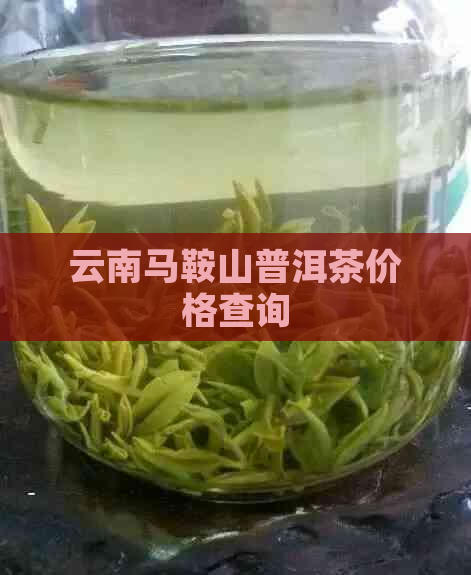 云南马鞍山普洱茶价格查询