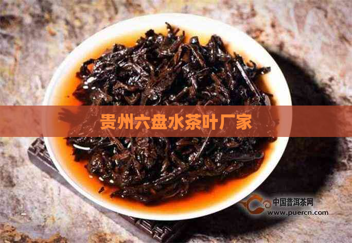 贵州六盘水茶叶厂家