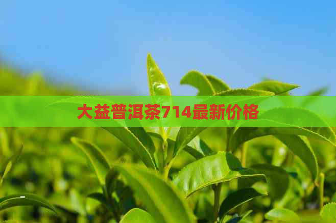 大益普洱茶714最新价格