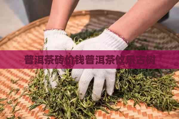 普洱茶砖价钱普洱茶攸乐古树