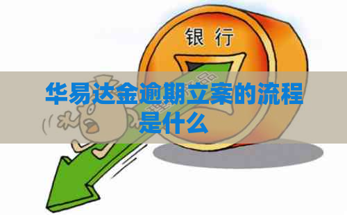 华易达金逾期立案的流程是什么