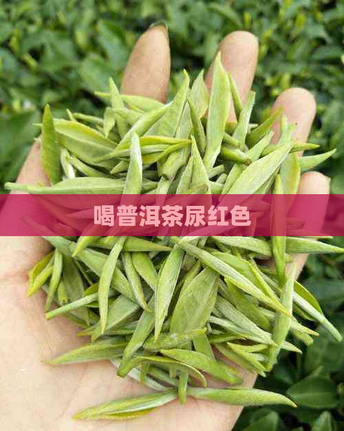 喝普洱茶尿红色