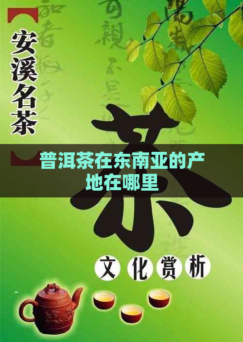 普洱茶在东南亚的产地在哪里