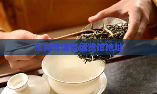 东莞普洱茶展览馆地址