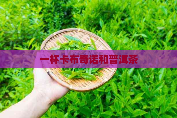 一杯卡布奇诺和普洱茶