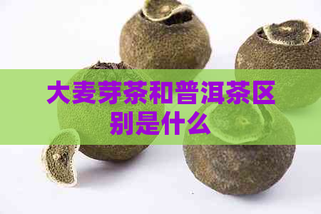 大麦芽茶和普洱茶区别是什么