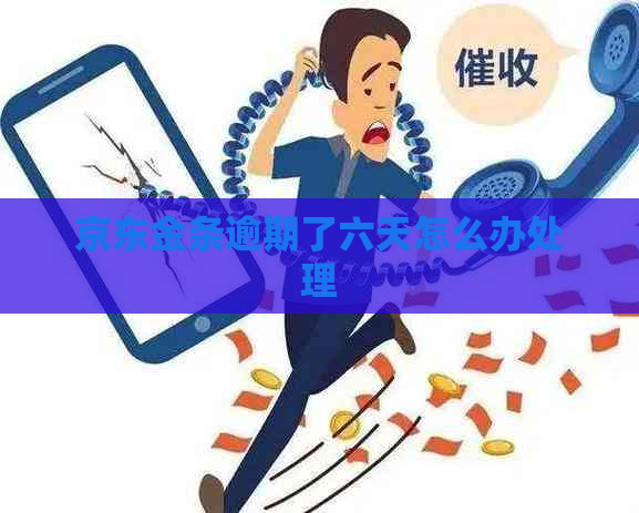 京东金条逾期了六天怎么办处理