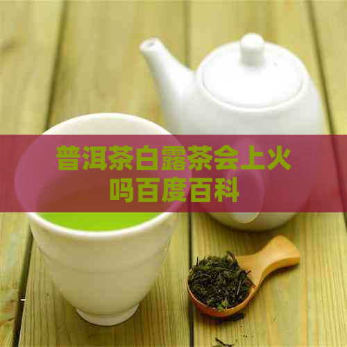 普洱茶白露茶会上火吗百度百科