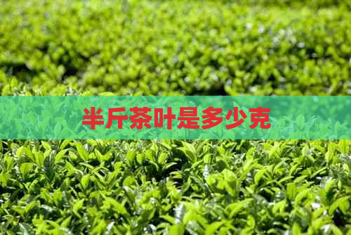 半斤茶叶是多少克