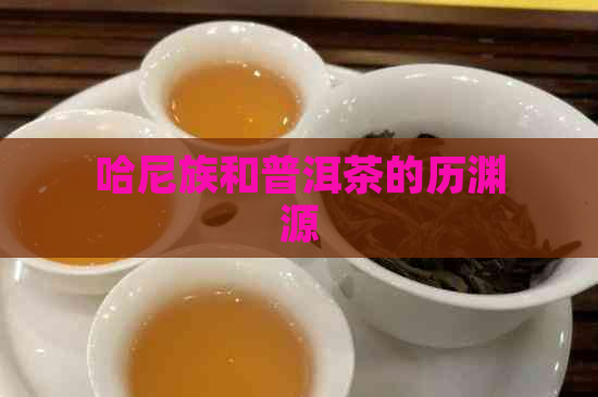 哈尼族和普洱茶的历渊源