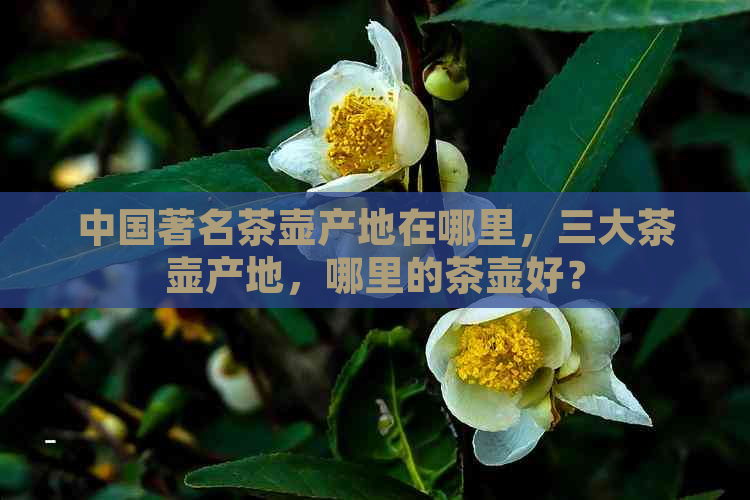 中国著名茶壶产地在哪里，三大茶壶产地，哪里的茶壶好？