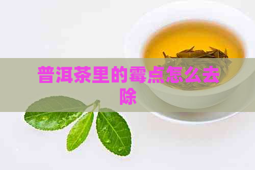 普洱茶里的霉点怎么去除